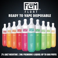 Flum Float Disposable Vapes